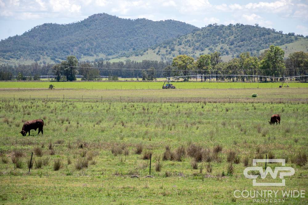 9699 Bruxner Highway, BONSHAW, NSW 2361