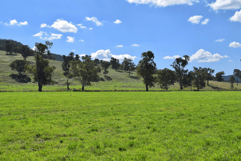 794  Reedy Creek Road 'Oaklands', MANDAGERY, NSW 2870