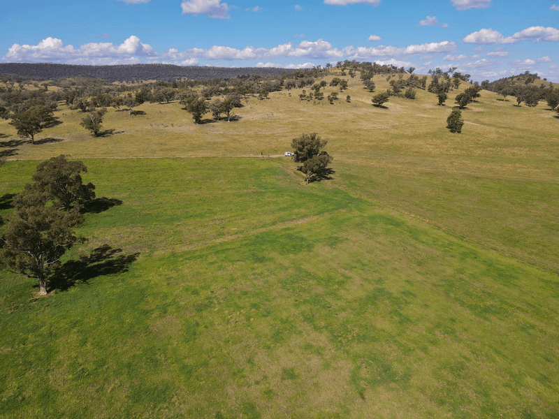 794  Reedy Creek Road 'Oaklands', MANDAGERY, NSW 2870