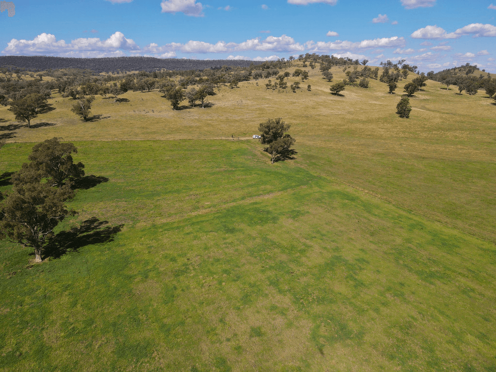 794  Reedy Creek Road 'Oaklands', MANDAGERY, NSW 2870