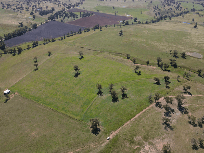 794  Reedy Creek Road 'Oaklands', MANDAGERY, NSW 2870