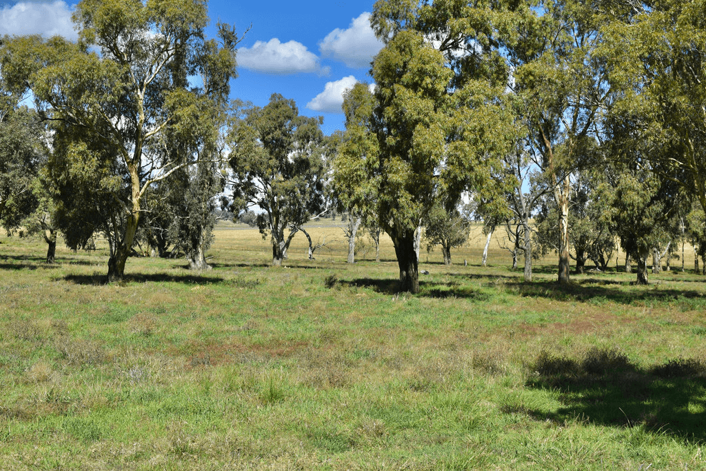 794  Reedy Creek Road 'Oaklands', MANDAGERY, NSW 2870