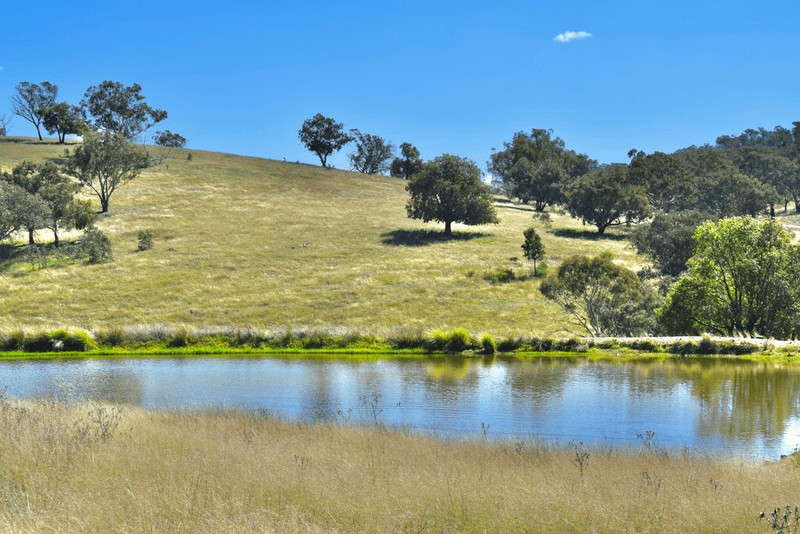 794  Reedy Creek Road 'Oaklands', MANDAGERY, NSW 2870