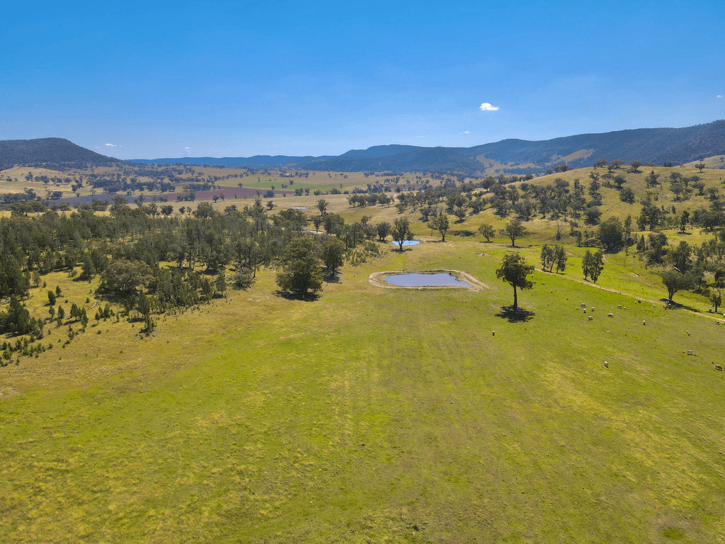 794  Reedy Creek Road 'Oaklands', MANDAGERY, NSW 2870