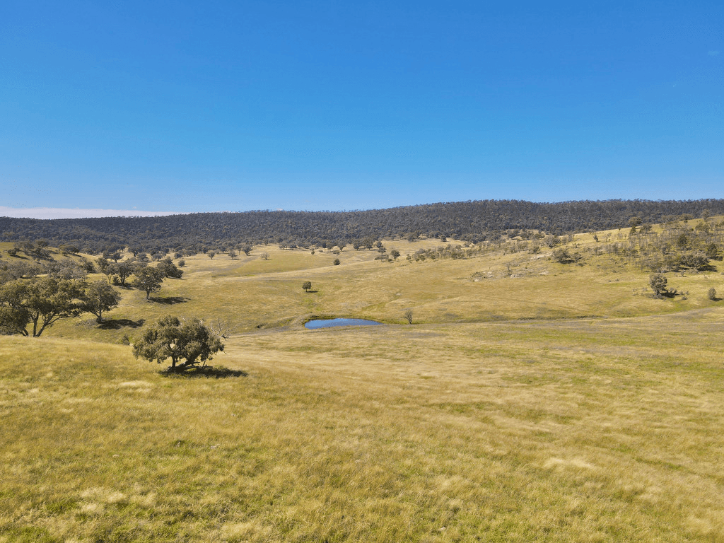 794  Reedy Creek Road 'Oaklands', MANDAGERY, NSW 2870