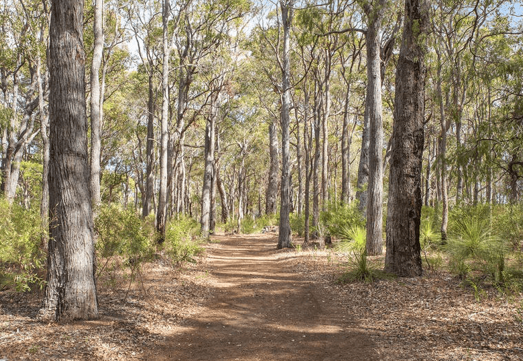 20 Zani Place, Margaret River, WA 6285