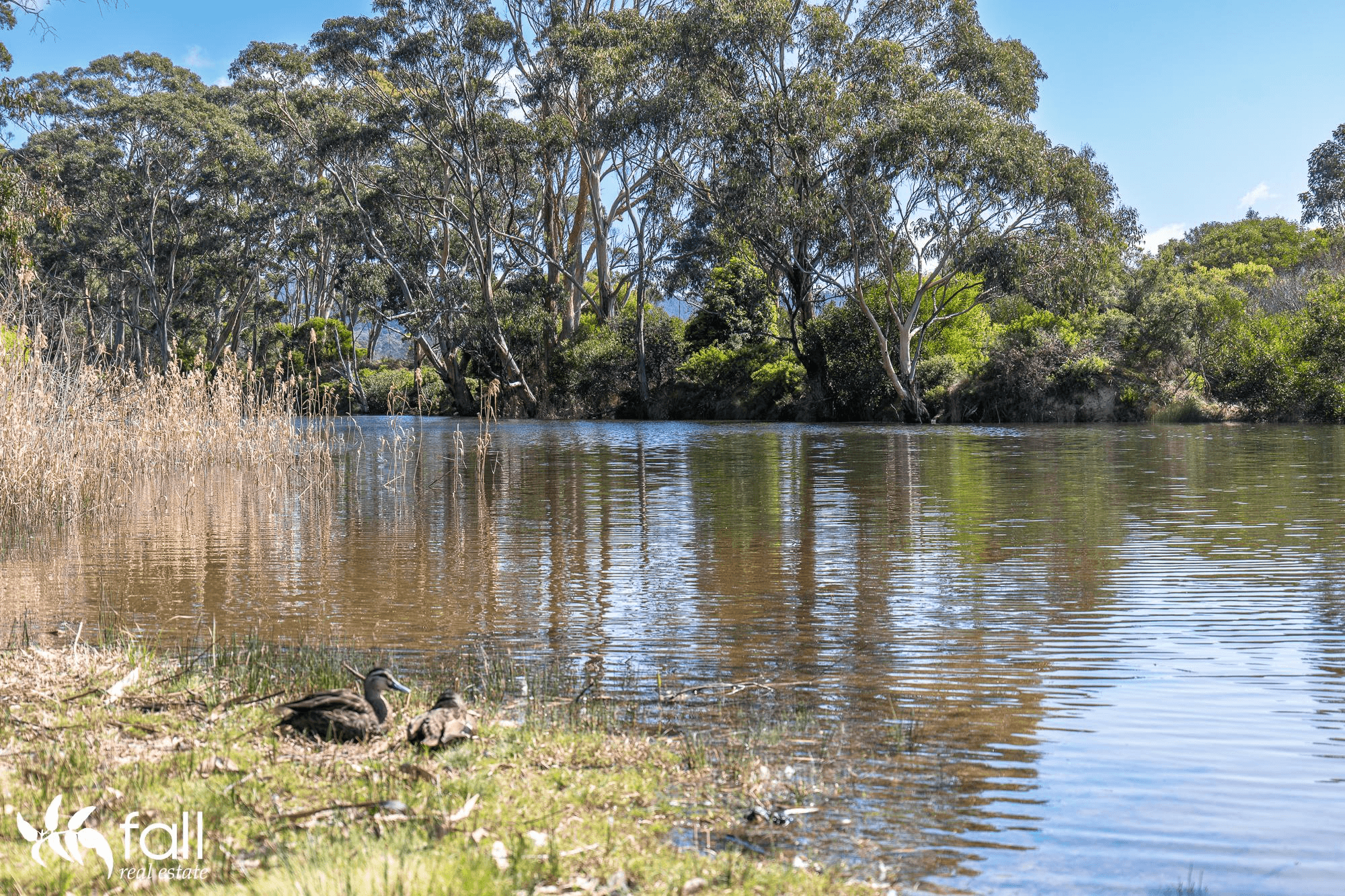 350 Resolution Road, ADVENTURE BAY, TAS 7150