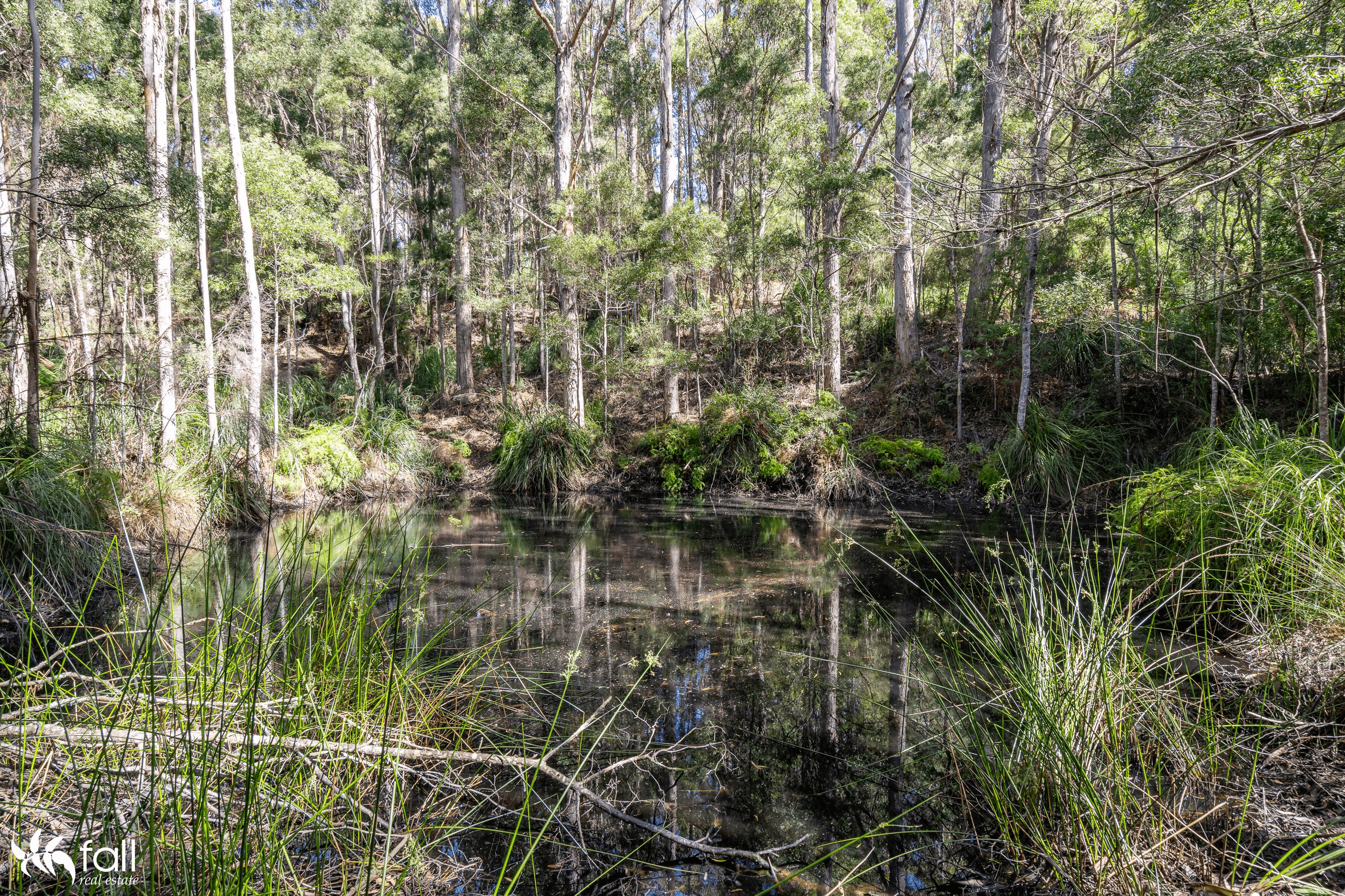 350 Resolution Road, ADVENTURE BAY, TAS 7150