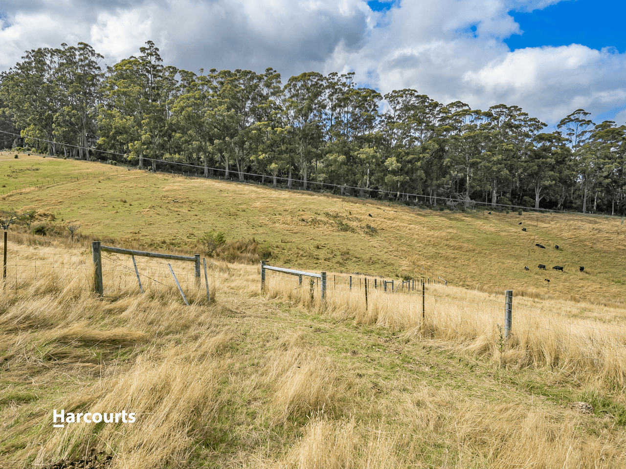 6303 Huon Highway, GLENDEVIE, TAS 7109