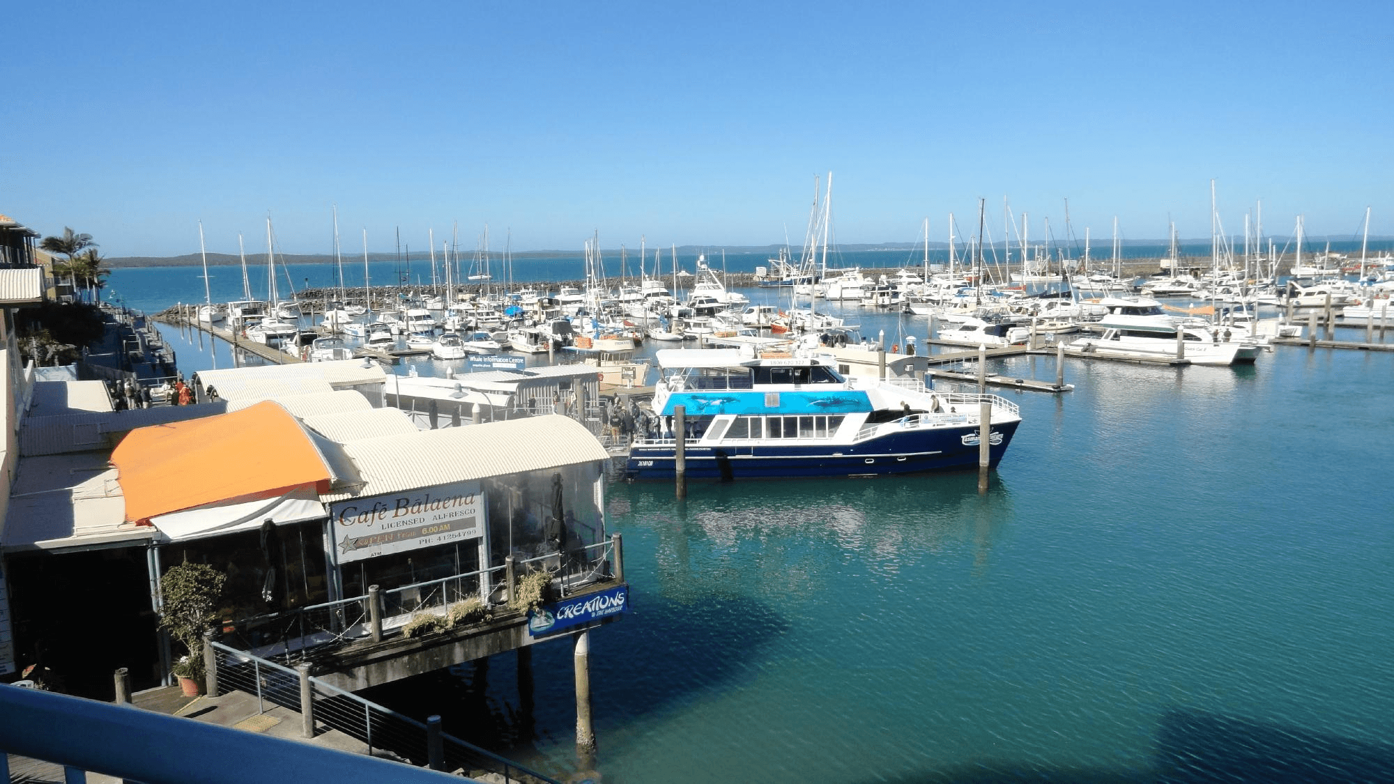 51 Hibiscus Street, URANGAN, QLD 4655