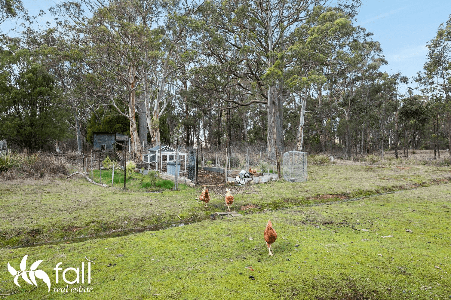 20 Trowenna Rise, MARGATE, TAS 7054