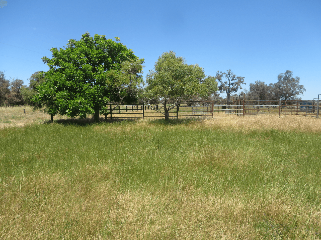 Lot 12 Heron Point Road, WEST COOLUP, WA 6214