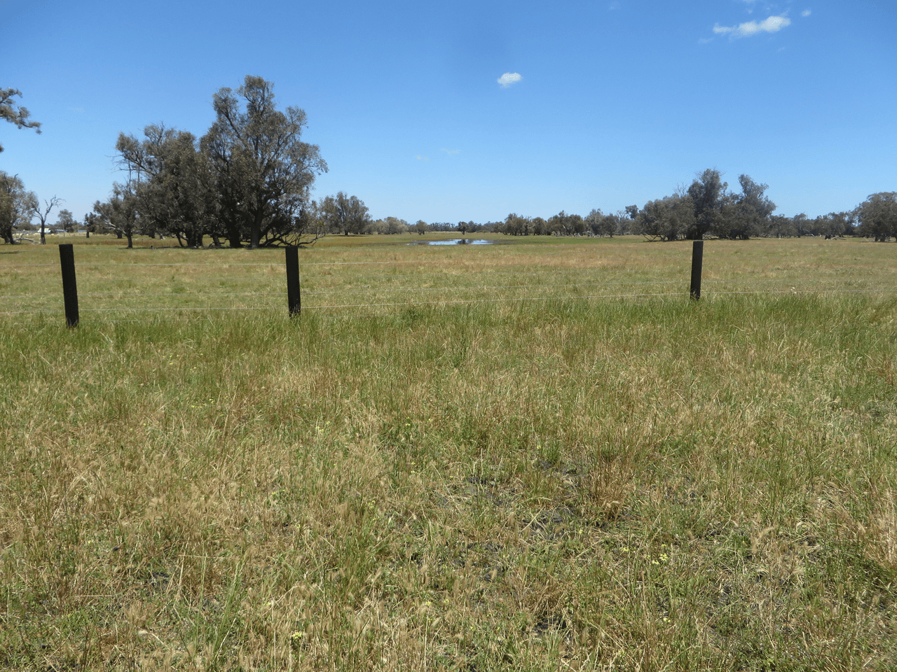 Lot 12 Heron Point Road, WEST COOLUP, WA 6214