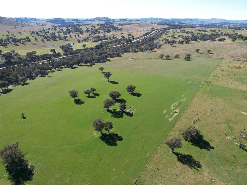 Talbragar, Bogolara Road, BOOKHAM, NSW 2582