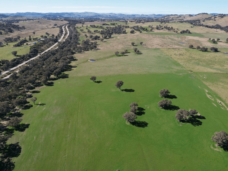 Talbragar, Bogolara Road, BOOKHAM, NSW 2582