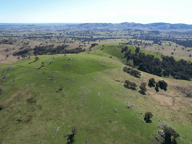 Talbragar, Bogolara Road, BOOKHAM, NSW 2582