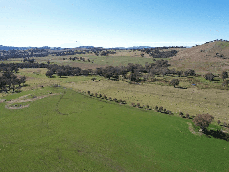 Talbragar, Bogolara Road, BOOKHAM, NSW 2582