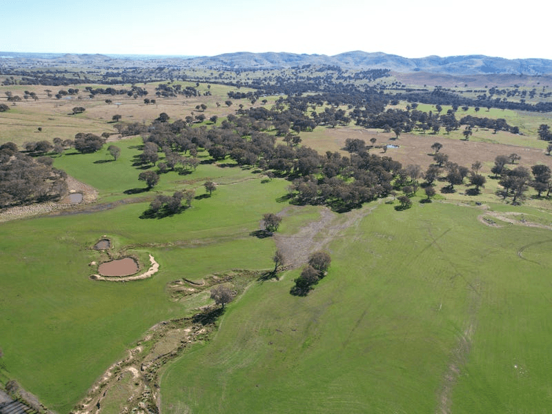 Talbragar, Bogolara Road, BOOKHAM, NSW 2582