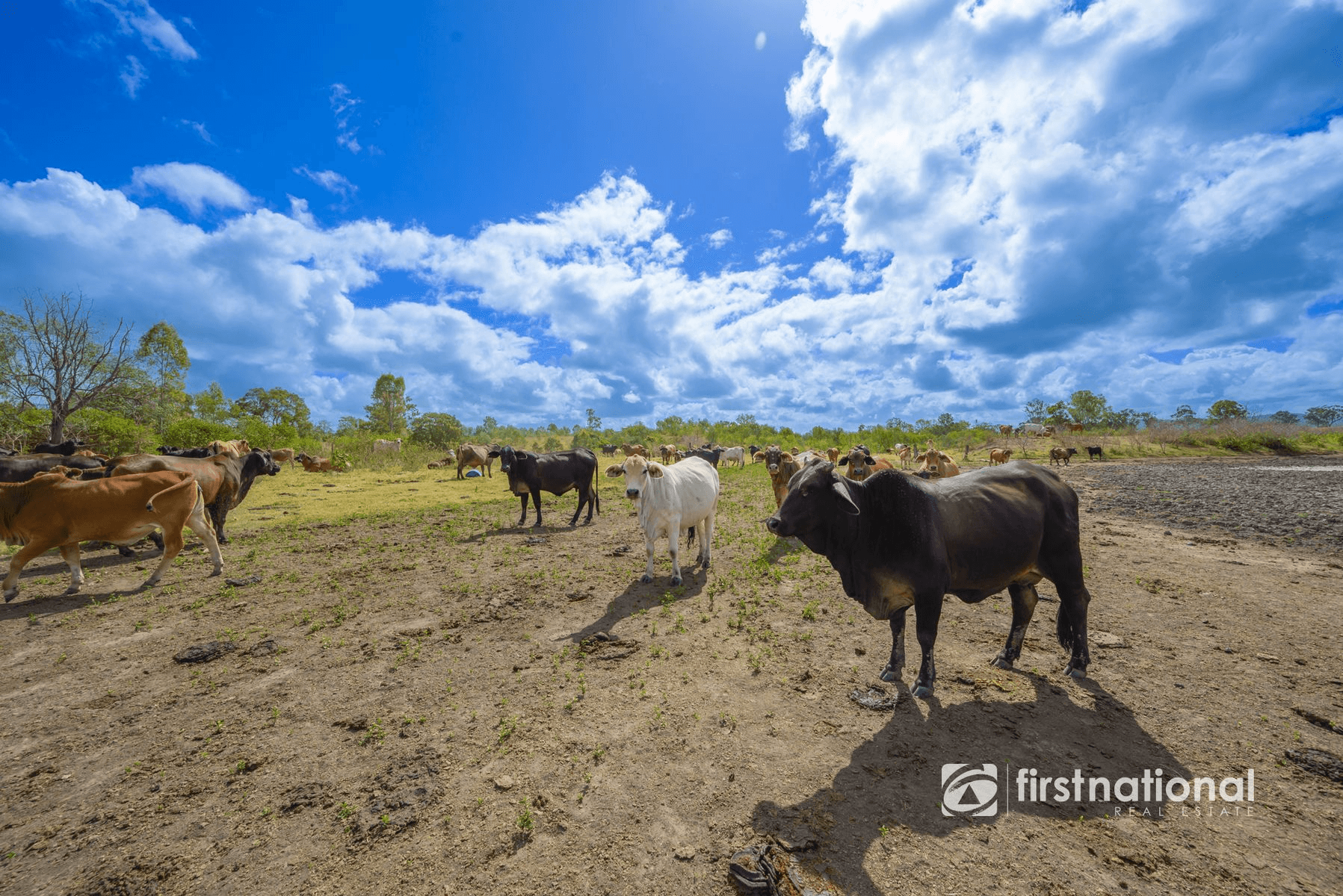 0 Rows Road, LOWMEAD, QLD 4676