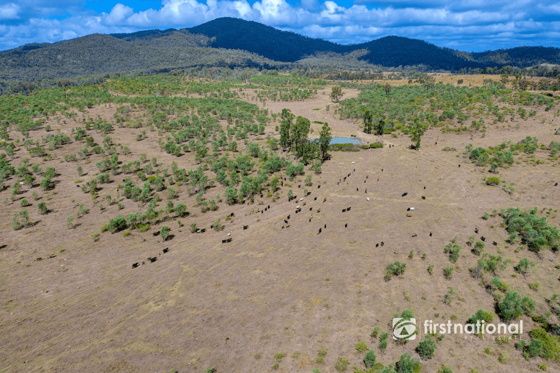 0 Rows Road, LOWMEAD, QLD 4676