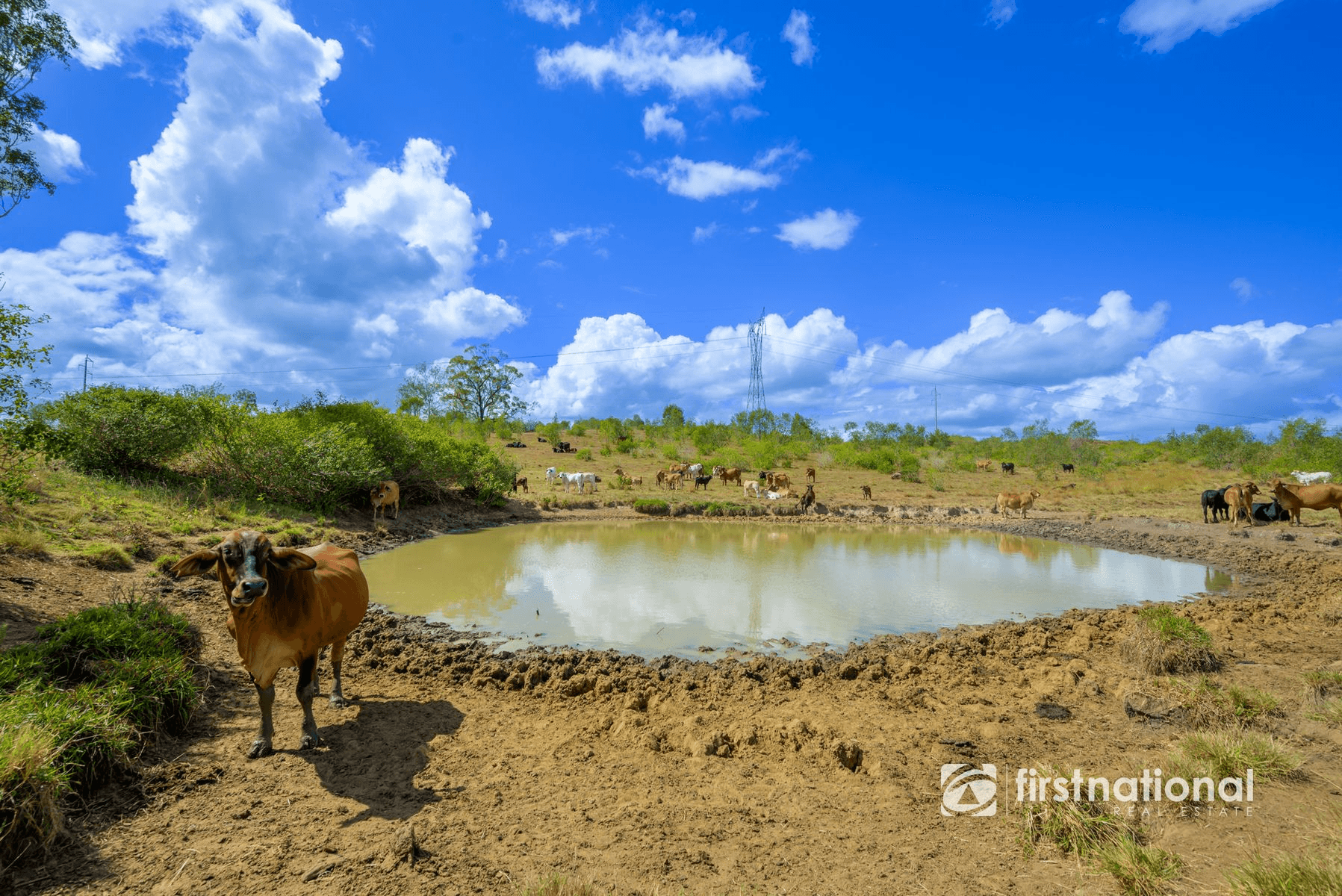 0 Rows Road, LOWMEAD, QLD 4676