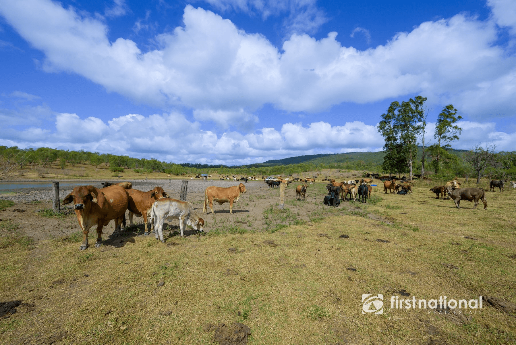 0 Rows Road, LOWMEAD, QLD 4676