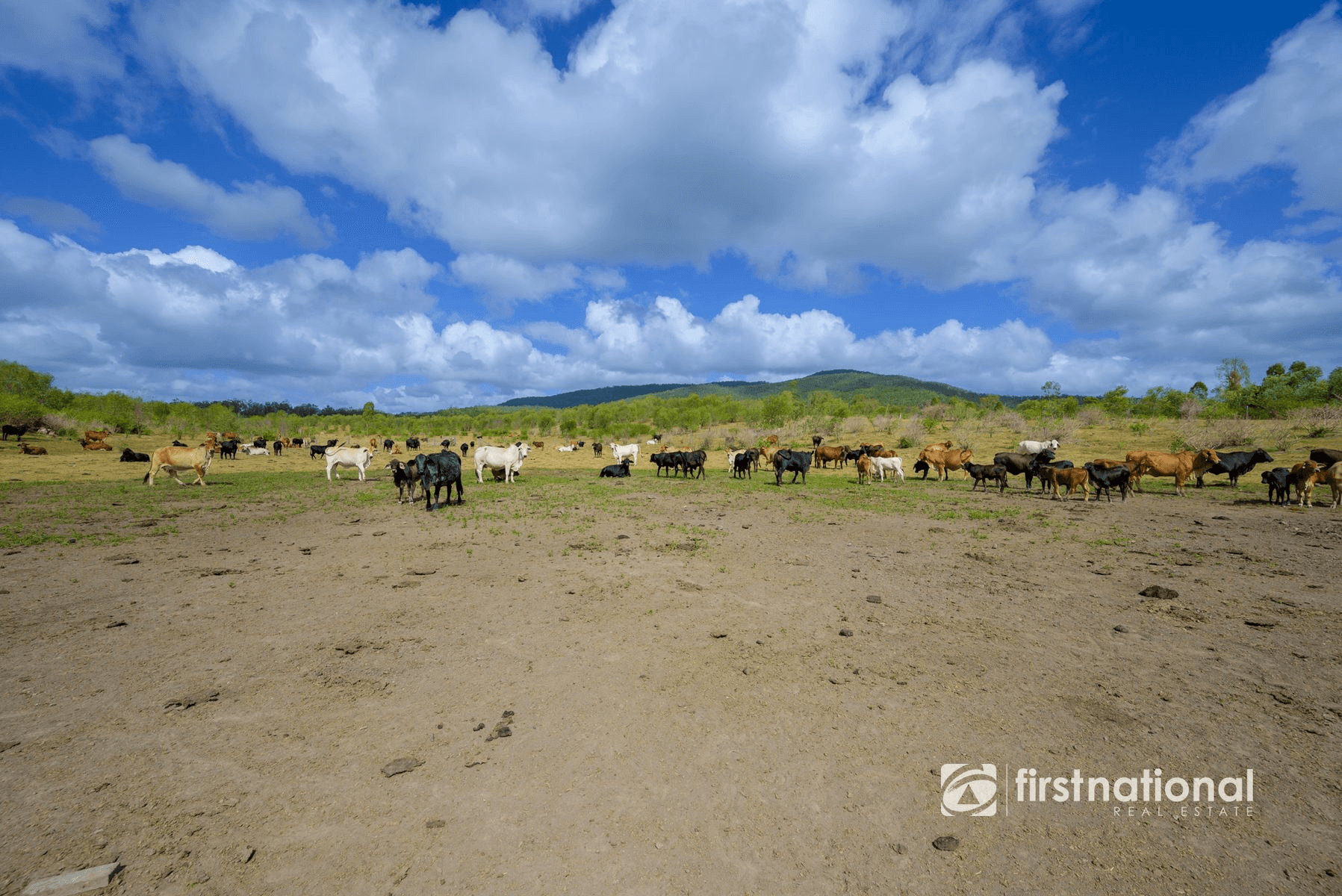 0 Rows Road, LOWMEAD, QLD 4676