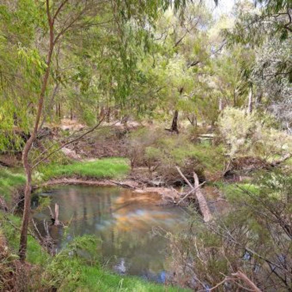 1029 Donnybrook-Boyup Brook Road, Queenwood, WA 6239