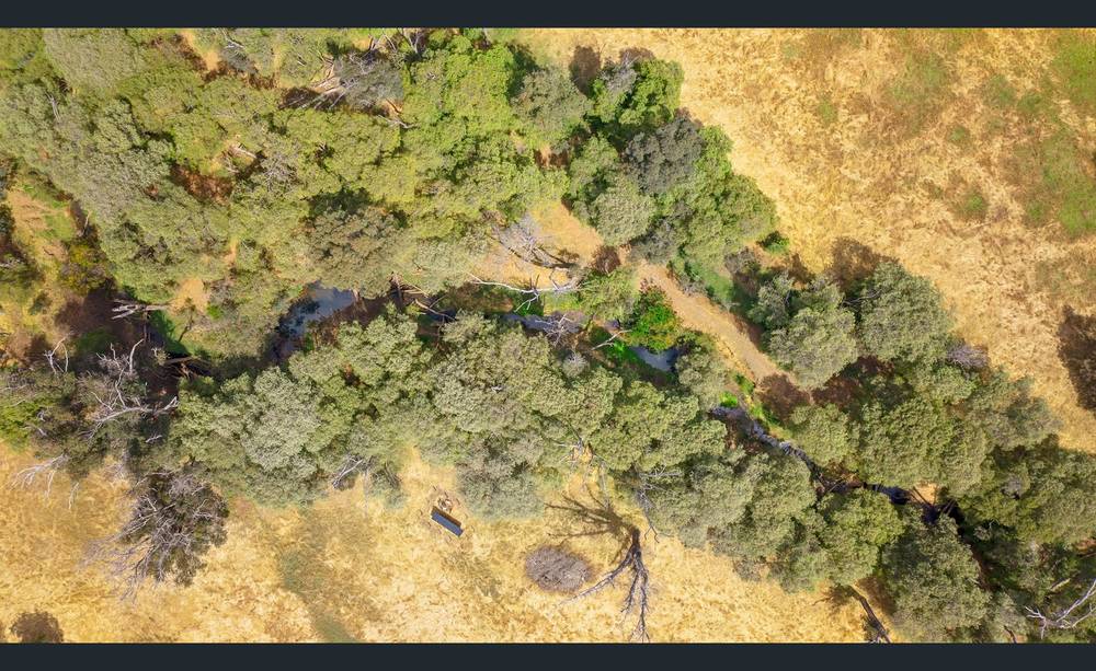 1029 Donnybrook-Boyup Brook Road, Queenwood, WA 6239