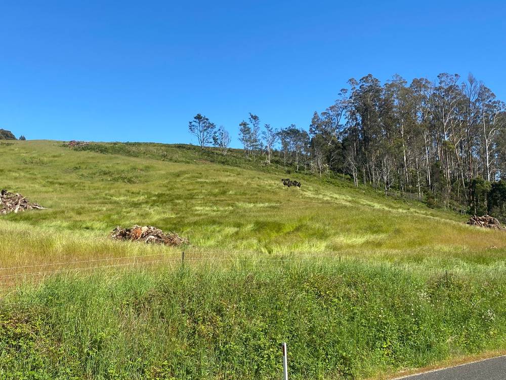 550 Liena Road, Mole Creek, TAS 7304