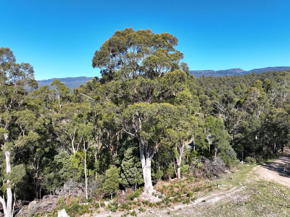 550 Liena Road, Mole Creek, TAS 7304