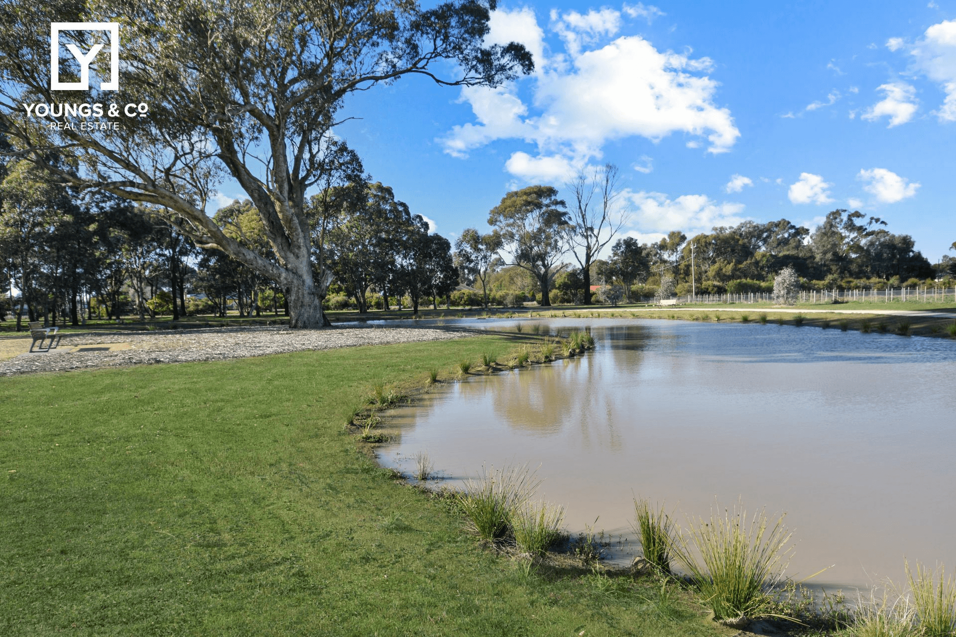 3 Torbreck St, Shepparton North, VIC 3631
