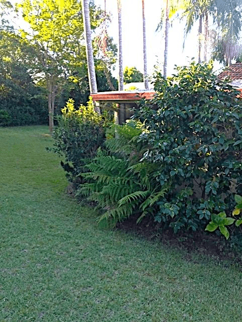 6 Bamarook Place, North Nowra, NSW 2541