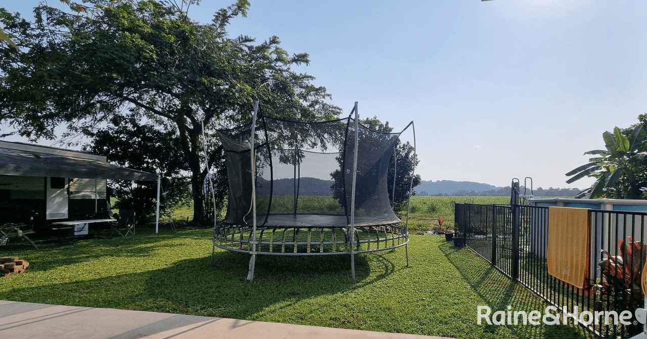 66 Alchera Drive, MOSSMAN, QLD 4873