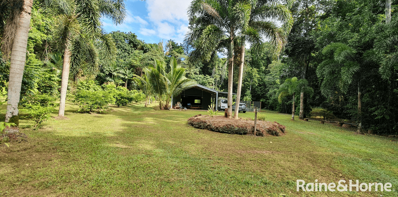 116 Hickory Road COW Bay, DAINTREE, QLD 4873