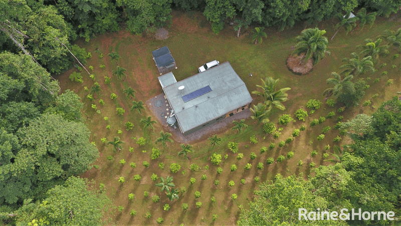 116 Hickory Road COW Bay, DAINTREE, QLD 4873