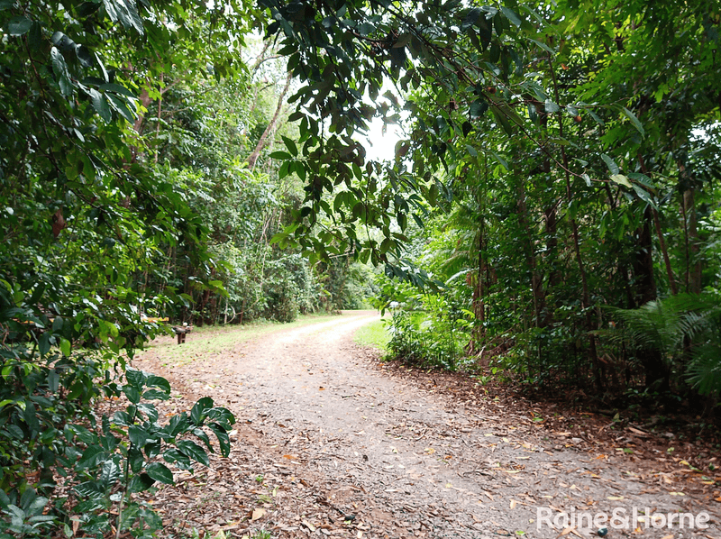 1466 Cape Tribulation Road, DAINTREE, QLD 4873