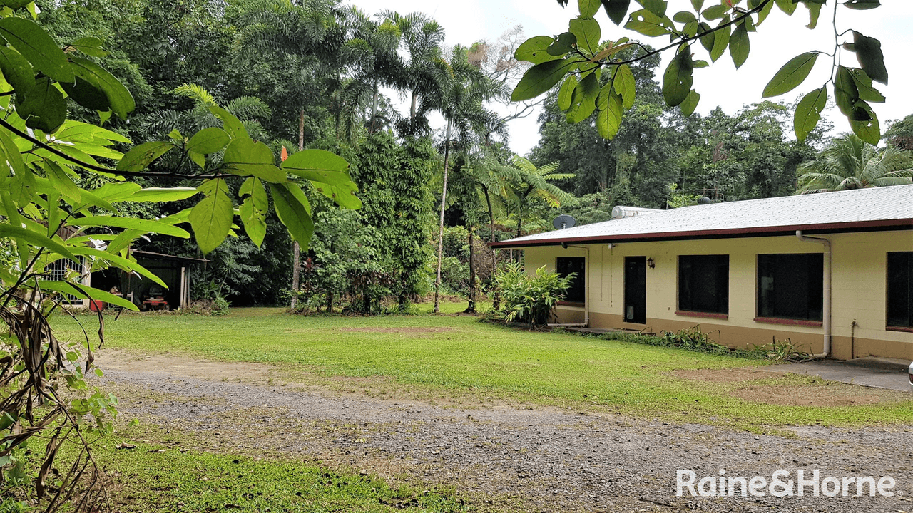 1466 Cape Tribulation Road, DAINTREE, QLD 4873