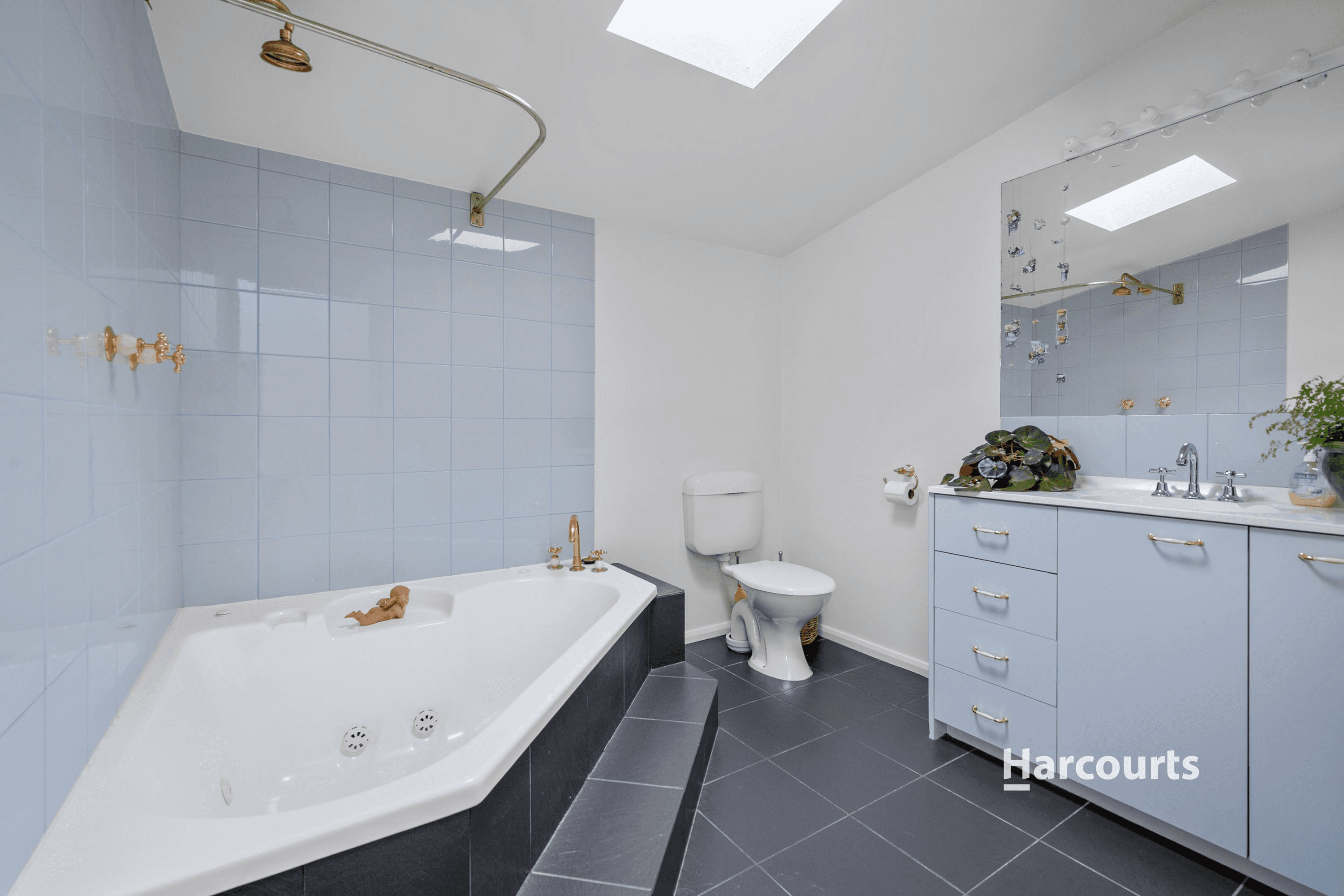 2 Olive Court, MIANDETTA, TAS 7310