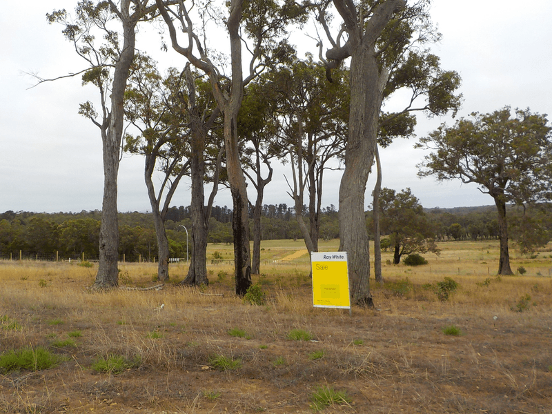 Lot 117 Glenelg Drive, KALGAN, WA 6330