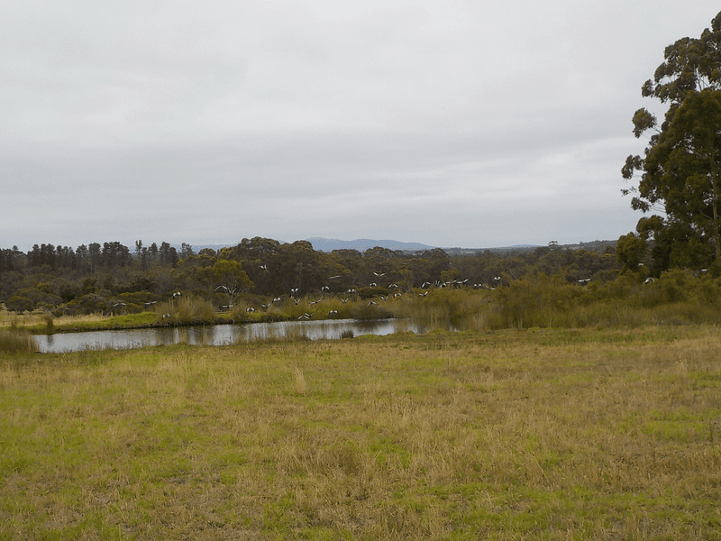 Lot 117 Glenelg Drive, KALGAN, WA 6330