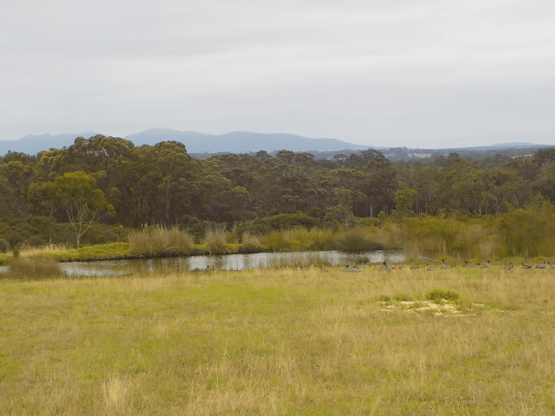 Lot 117 Glenelg Drive, KALGAN, WA 6330