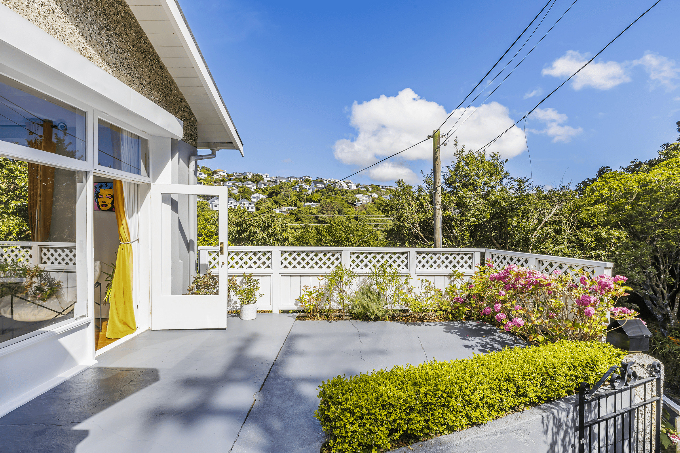 19 Thorby Street, Northland, Wellington 6012