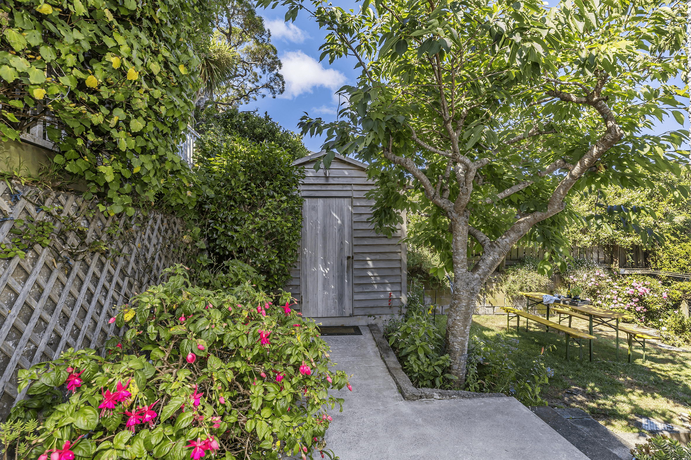 19 Thorby Street, Northland, Wellington 6012