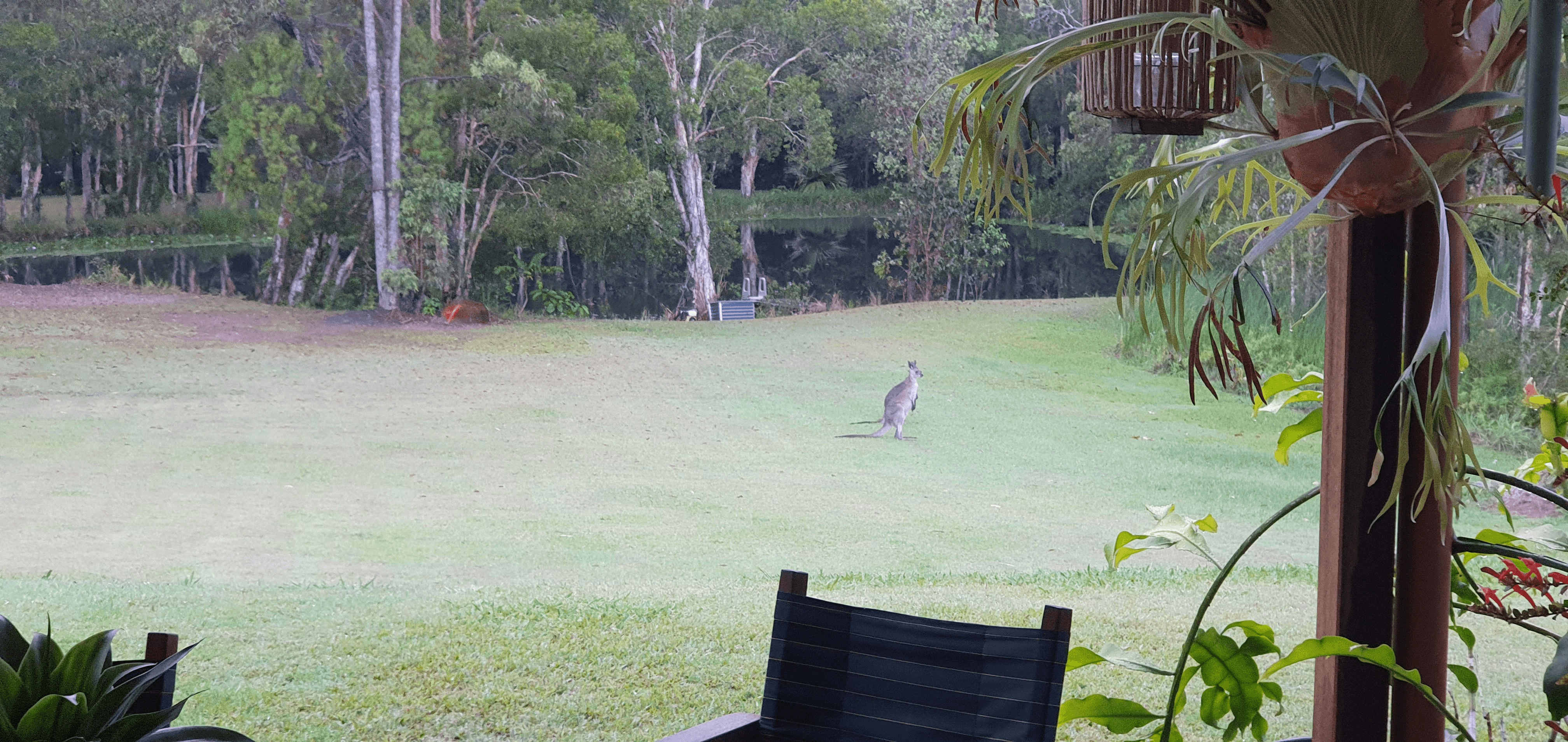 44 BUZAKI ROAD, GLASS HOUSE MOUNTAINS, QLD 4518
