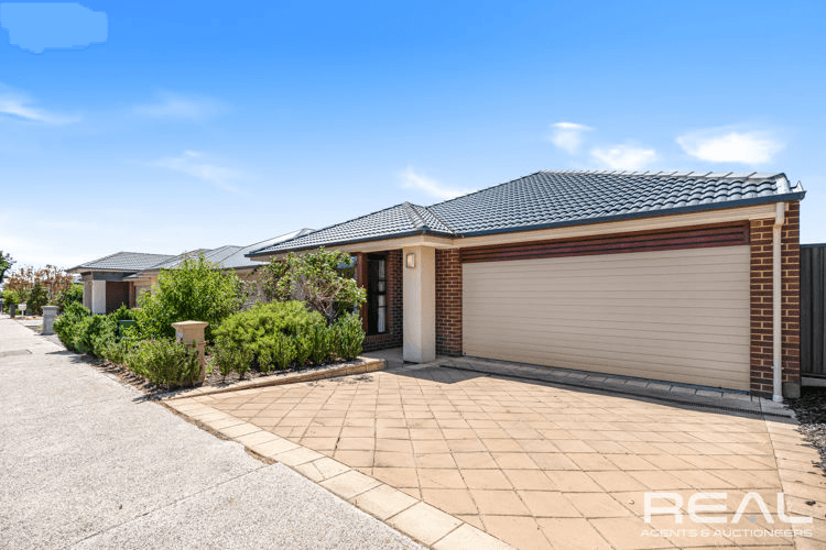 43 The Avenue, BLAKEVIEW, SA 5114