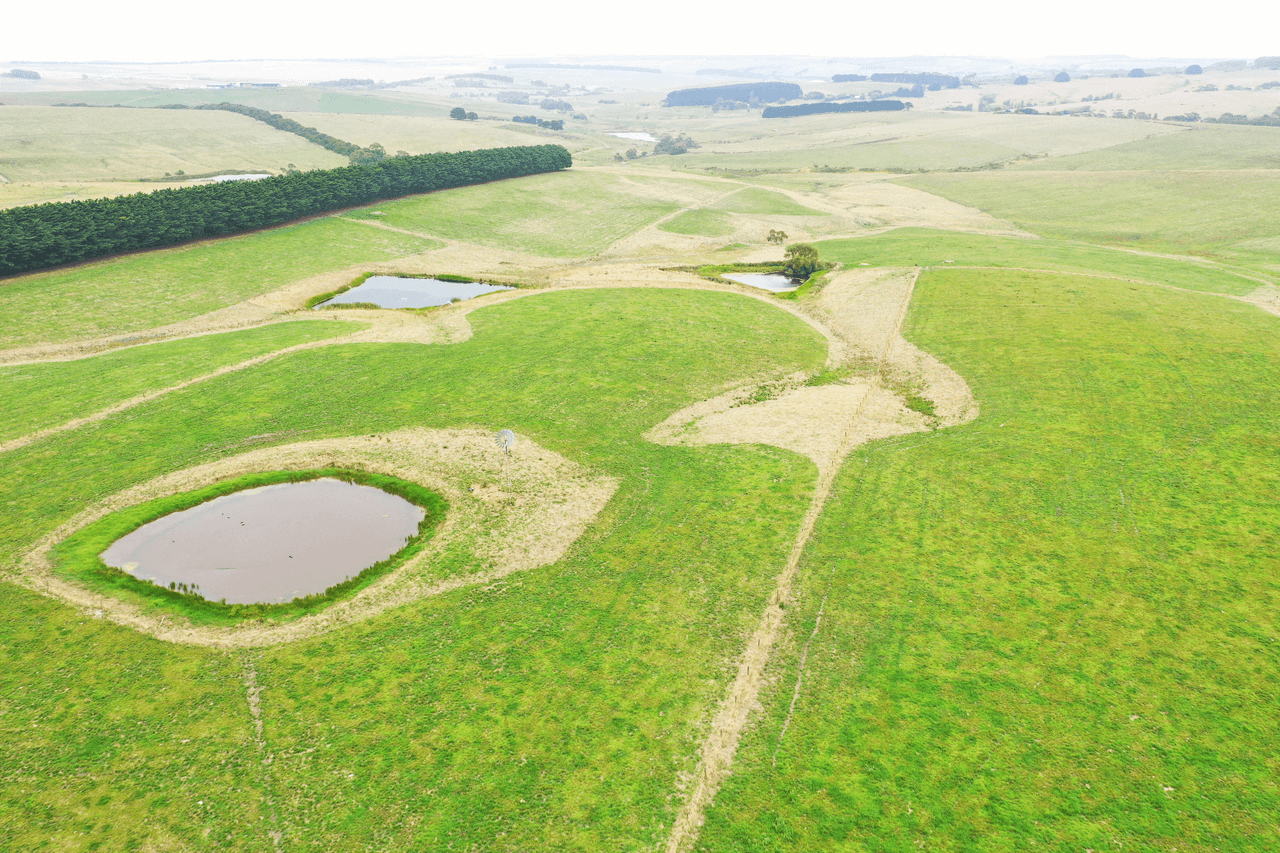 Lot 2 Hawkins Road, WAARRE, VIC 3269