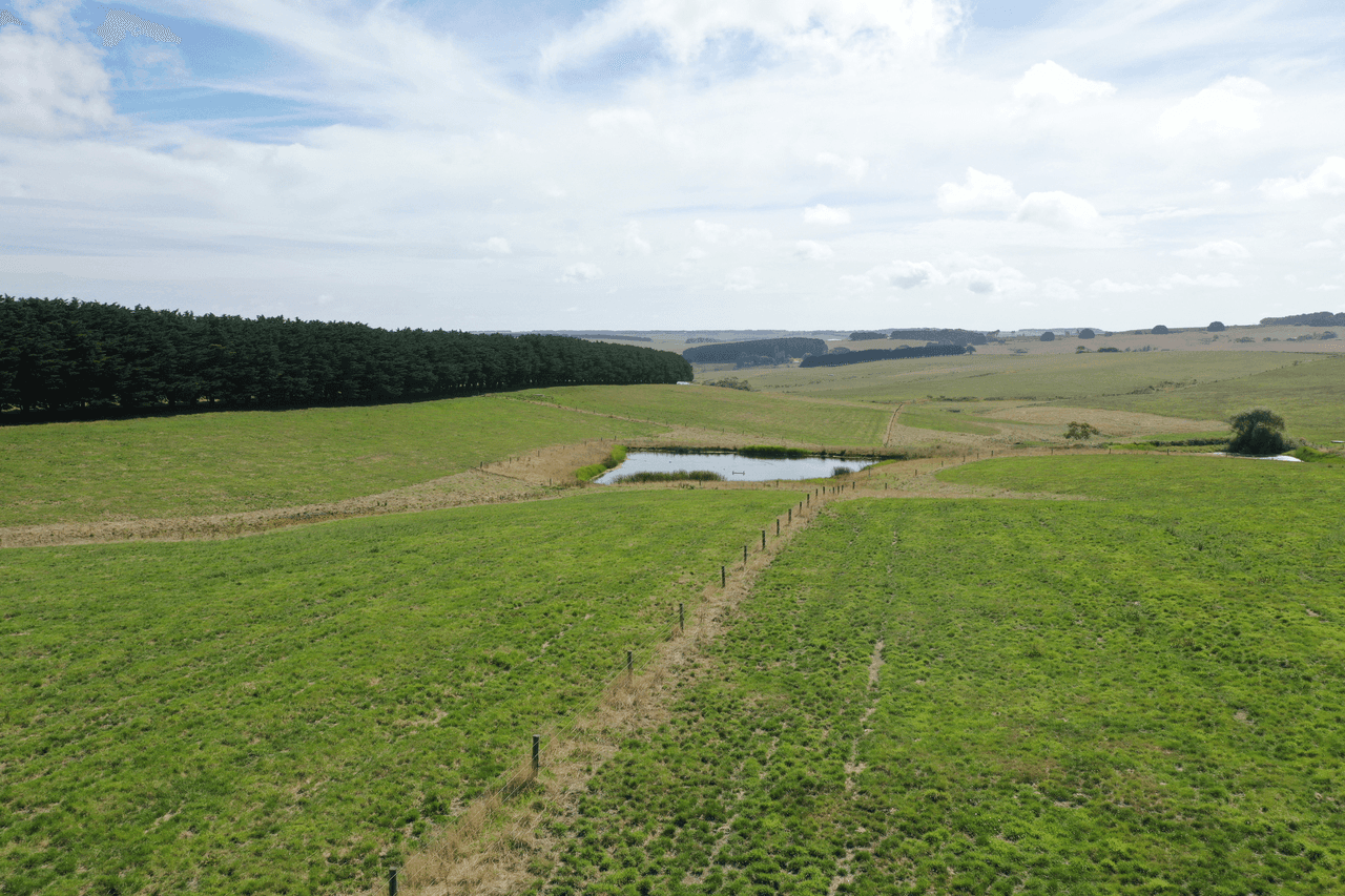 Lot 2 Hawkins Road, WAARRE, VIC 3269