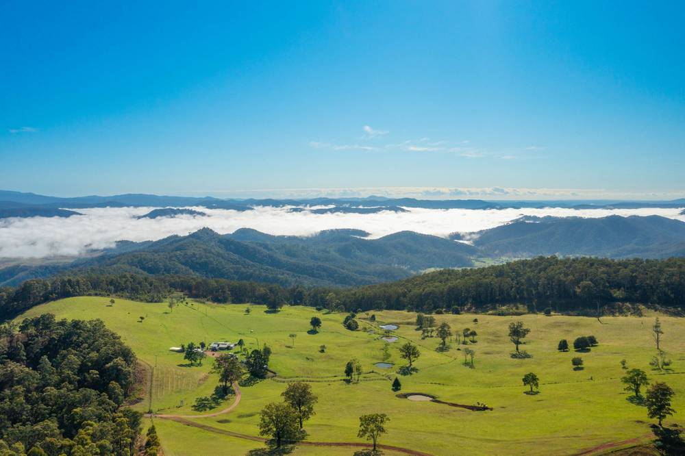 669 Costigans Road, YARRAS, NSW 2446