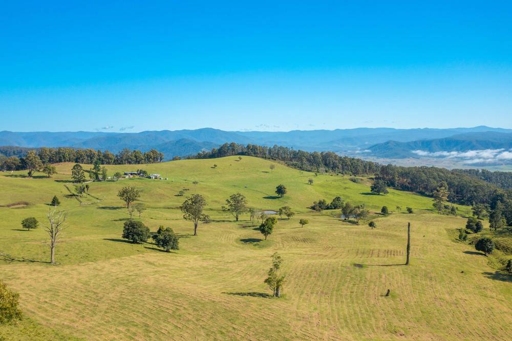 669 Costigans Road, YARRAS, NSW 2446
